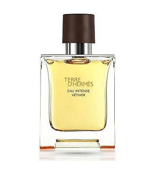 HERMES Terre d Hermes Eau Intense Vetiver Мужской парфюм 50 мл edp Hermès