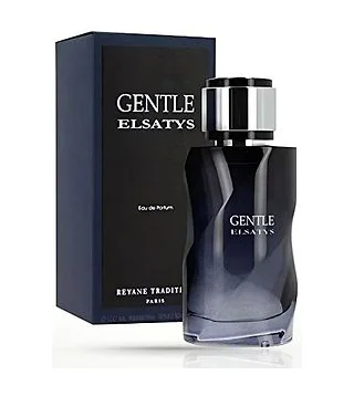 REYANE TRADITION GENTLE ELSATYS FOR MEN Вода парфюмерная для мужчин 100 мл Reyane Tradition