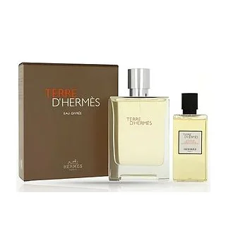 HERMES TERRE D'HERMES GIVREE Парфюмерный набор Туалетная вода 100 мл + гель для душа 80 мл Hermès