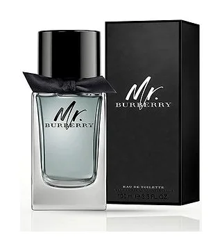 Burberry MR Туалетная вода для мужчин 100 мл Bdk