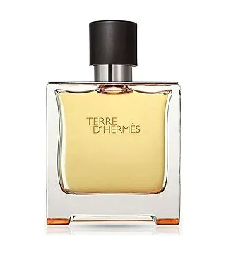 HERMES TERRE D HERMES Parfum Мужская парфюмерная вода 200 мл Hermès