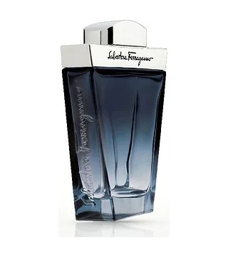 Salvatore Ferragamo Subtil Pour Homme Туалетная вода мужская 100 мл Salvatore Ferragamo