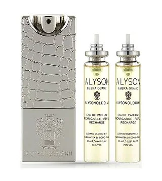 Alyson Oldoini Ambra Guaiac Rechargeable Парфюмированная вода унисекс 3х20 мл Alyson Oldoini