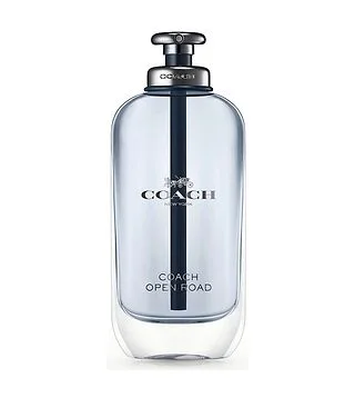 Coach Open Road Туалетная вода мужская 100 мл COACH