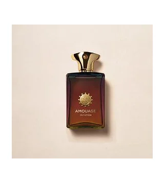 AMOUAGE Imitation Парфюмерная вода для мужчин 100 мл Amouage