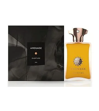 AMOUAGE Overture Man 100 мл - парфюмерная вода Amouage