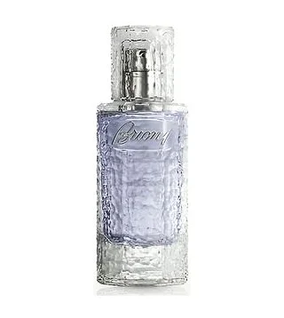 Brioni Iris Exquis Духи унисекс 80 мл Brioni