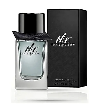 Burberry MR Туалетная вода для мужчин 100 мл Bdk