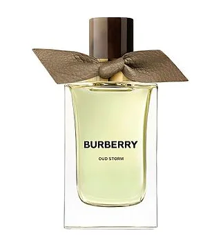 Burberry Oud Storm Парфюмерная вода унисекс 100 мл Burberry