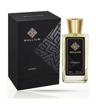 MULLIUM - Everest Парфюмерная вода для мужчин 100 мл MULLIUM