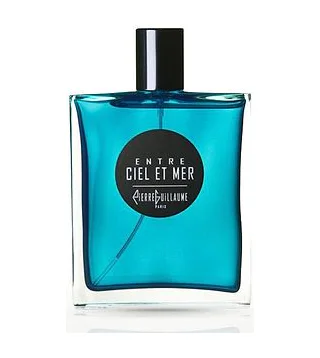 Pierre Guillaume Paris Entre Ciel et Mer Парфюмерная вода унисекс 100 мл Pierre Guillaume