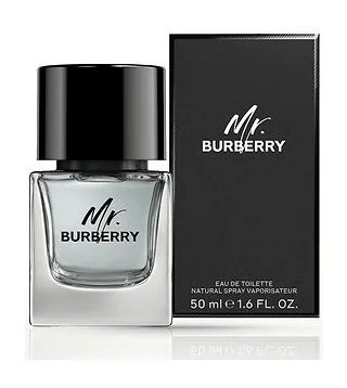 Burberry MR Туалетная вода для мужчин 50 мл Bdk