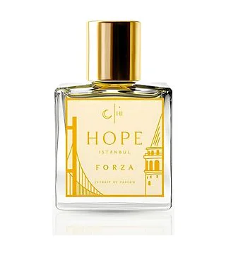 Hope Istanbul Forza Парфюмерная вода 100 мл Hope