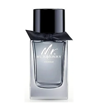 Burberry Mr. Burberry Indigo Туалетная вода мужская 100 мл Burberry