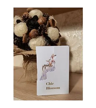 HFC CHIC BLOSSOM (пробник) парфюмерная вода для женщин 2.5 мл