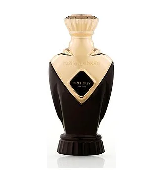 PARIS CORNER Prodigy Noir Парфюмерная вода мужская 100 мл PARIS CORNER